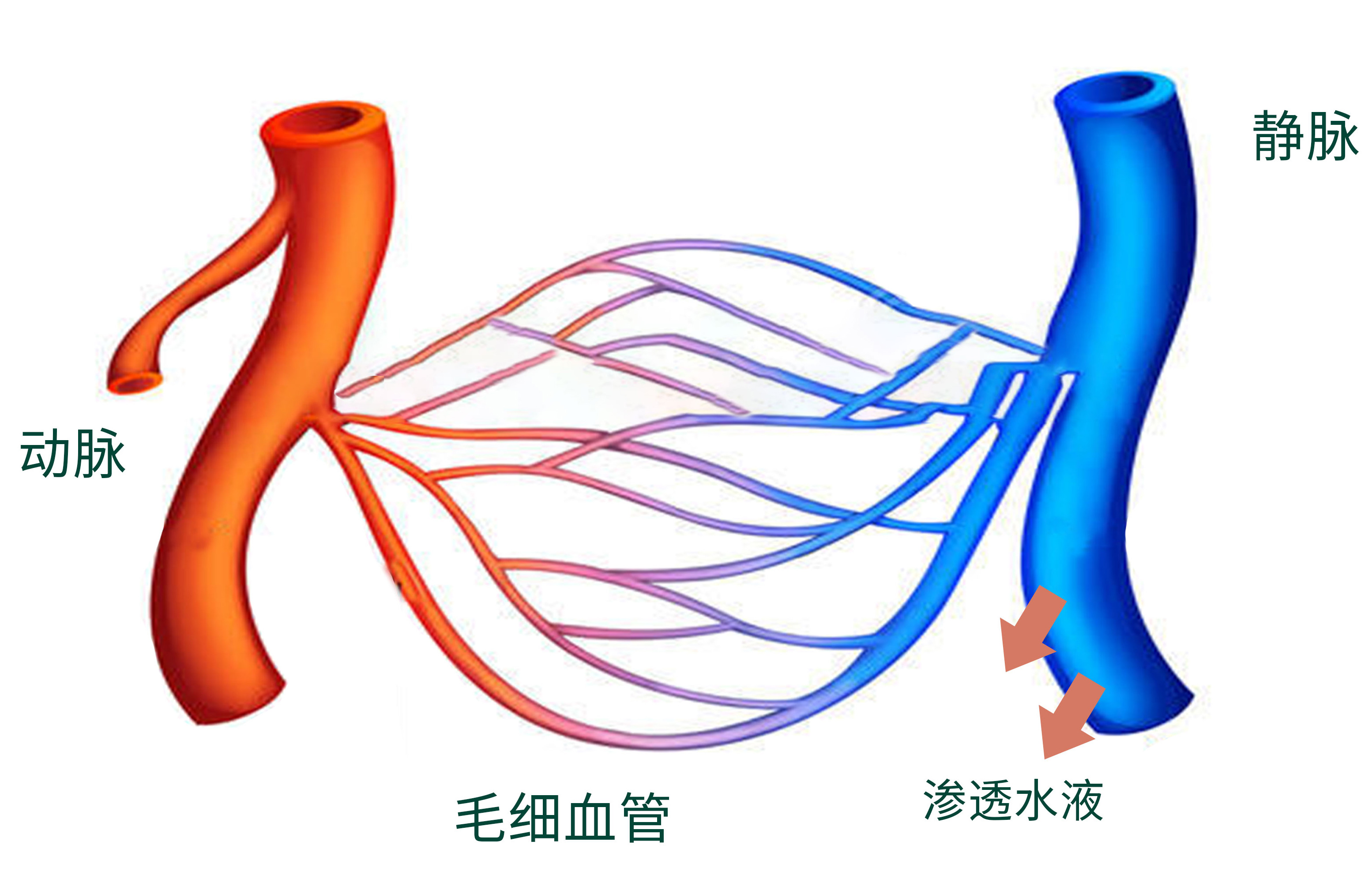 dmk护肤品