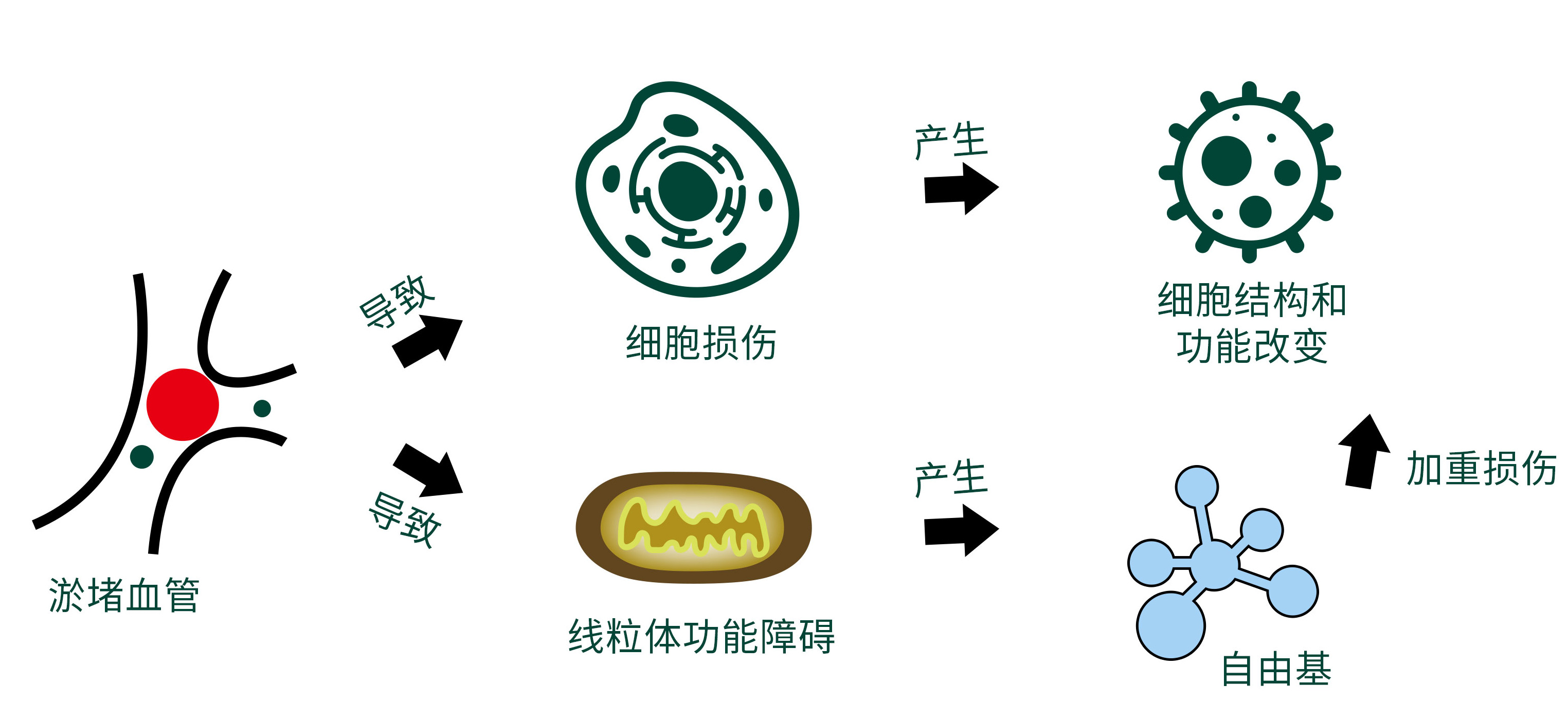 dmk护肤品