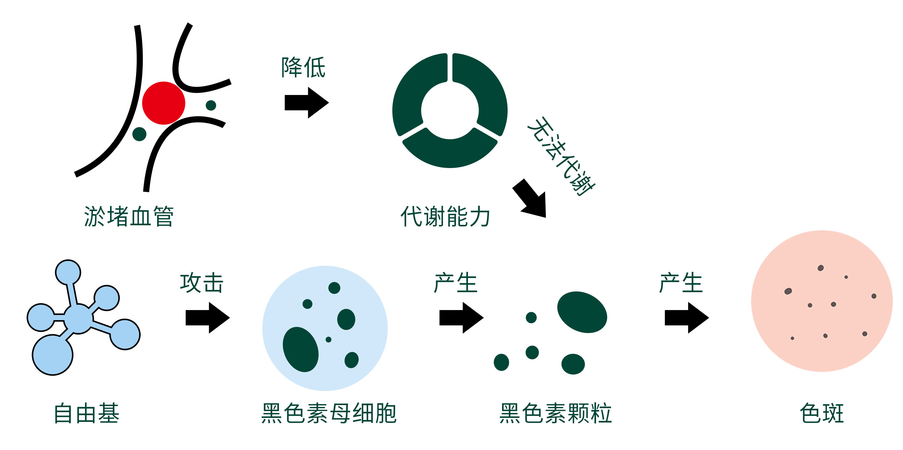 dmk护肤品